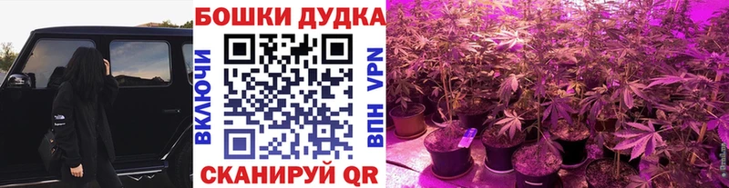 Купить наркотики сайты Новотитаровская KRAKEN как войти Каннабис COCAIN Меф мяу мяу АМФ MDMA ГАШИШ Alpha-PVP